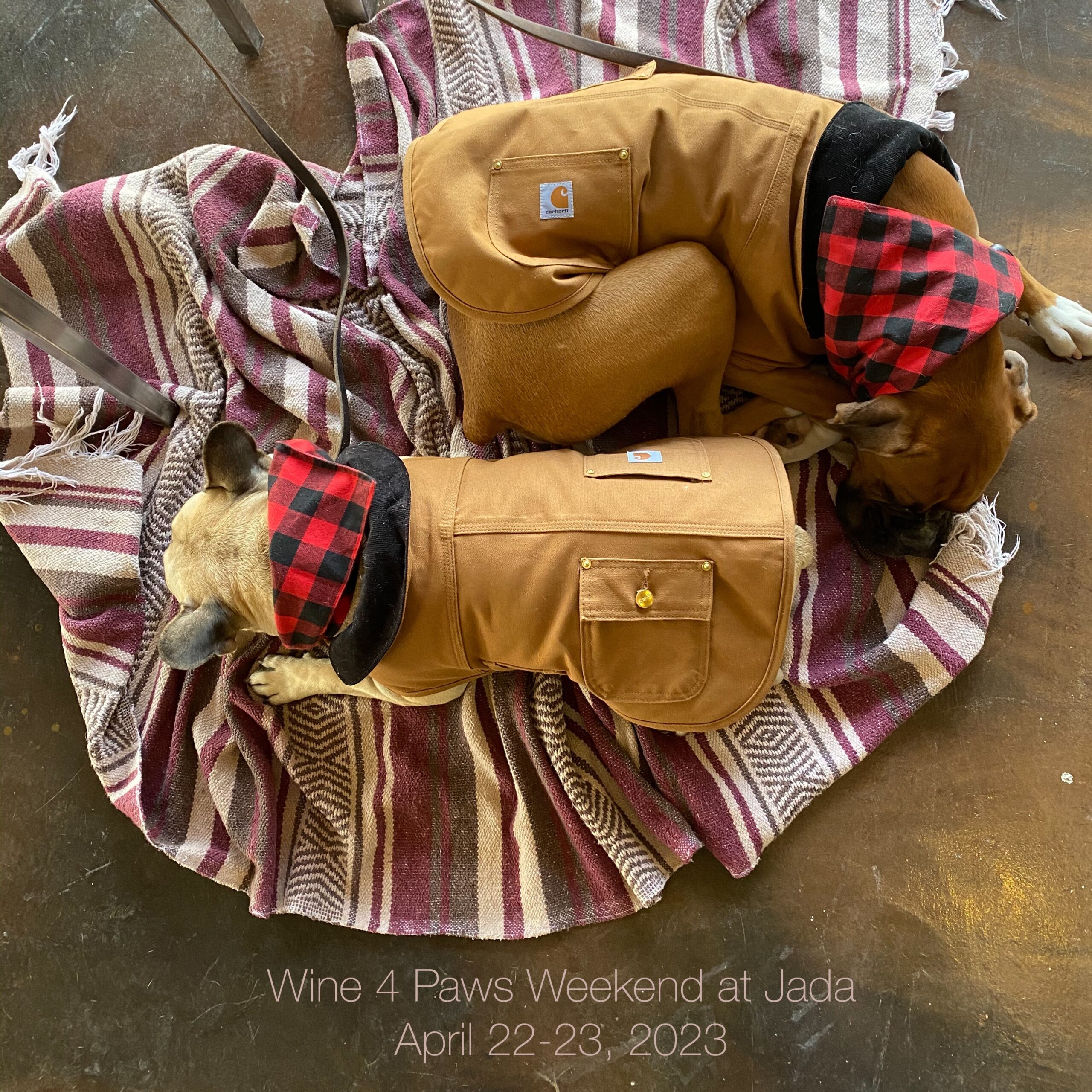 Wine 4 Paws Weekend at Jada