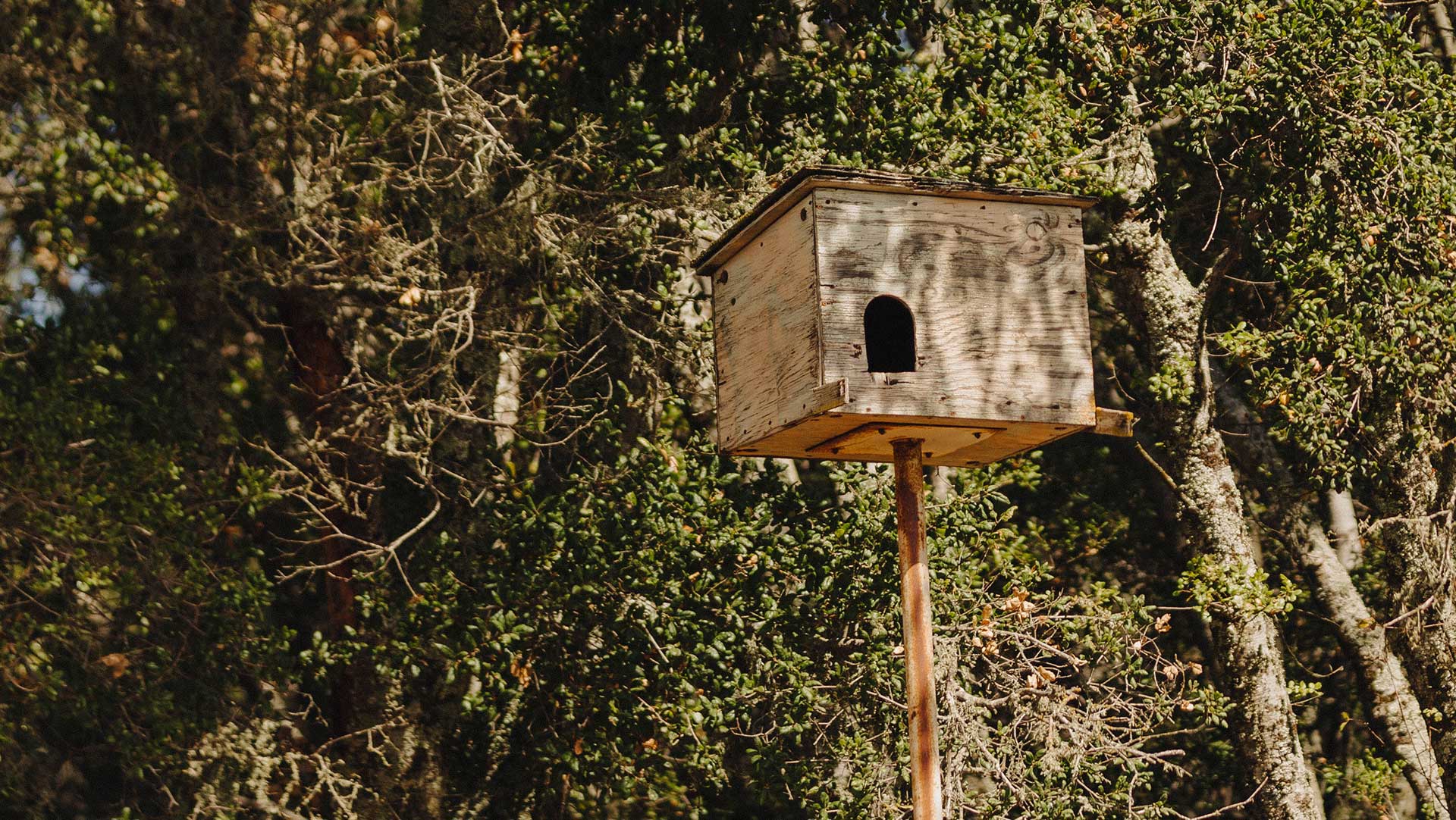 Owl boxes at Jada Vineyard