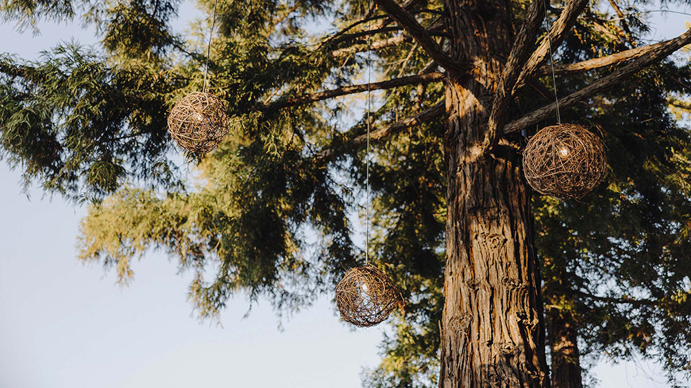 Circular wood lanterns handing from tree at Jada Vineyard