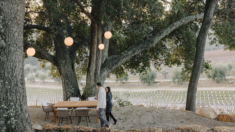 Couple walking by table under trees in Jada Vineyard Grove