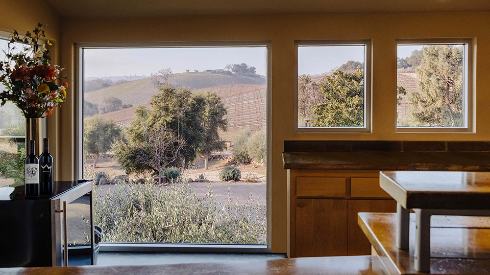 View from Jada Vineyard Tree House