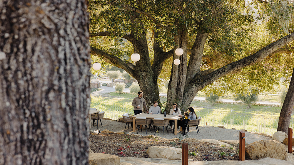 Family wine tasting in the Grove.