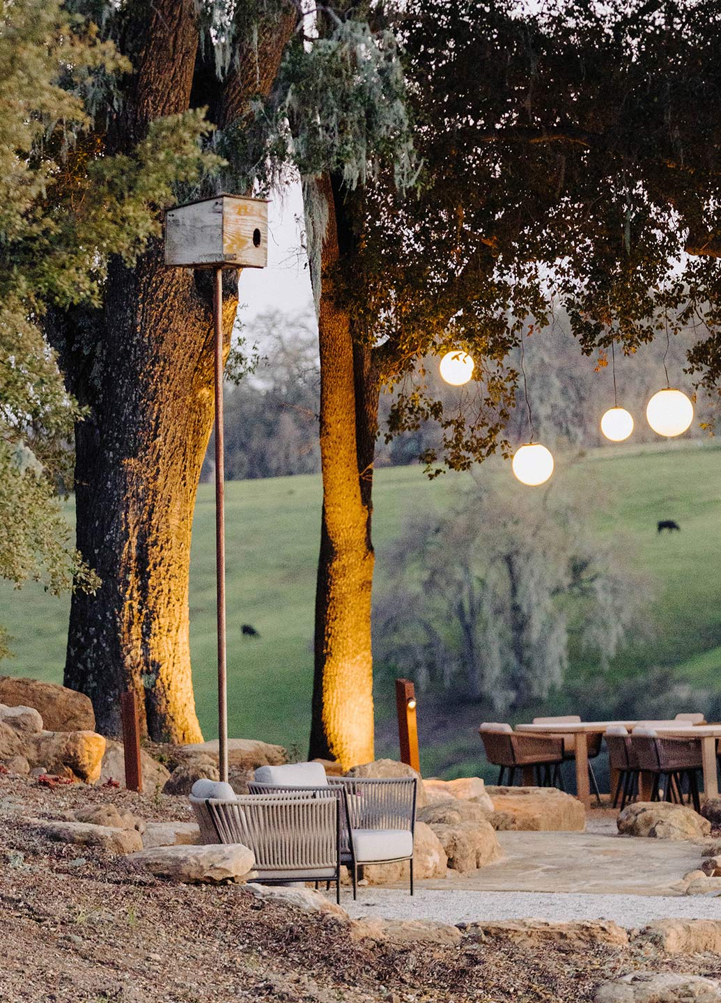 Table for two under a canopy of lights