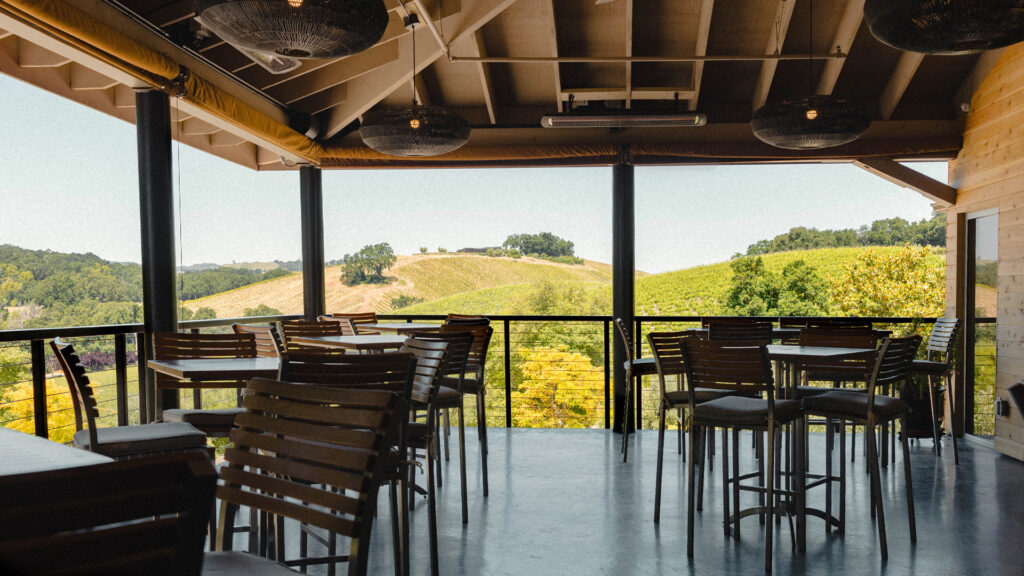 View of vineyard from tree house deck