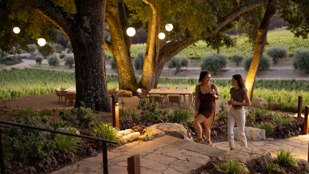 Dusk in the Grove